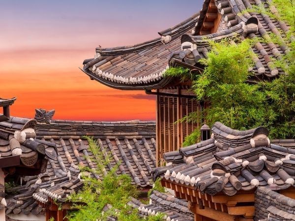 Seul Alışveriş Turu Asiana Hava Yolları 4 Gece 