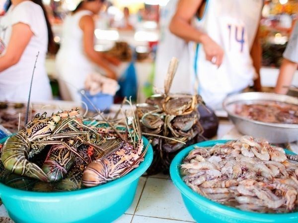 Seul Alışveriş Turu Asiana Hava Yolları 4 Gece 