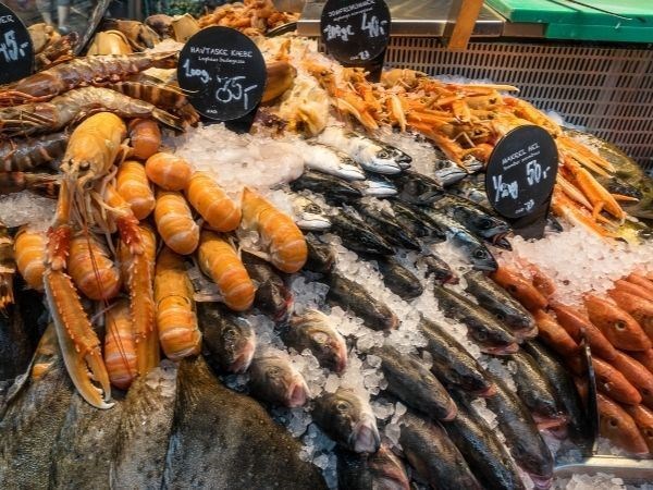 Seul Alışveriş Turu Asiana Hava Yolları 4 Gece 