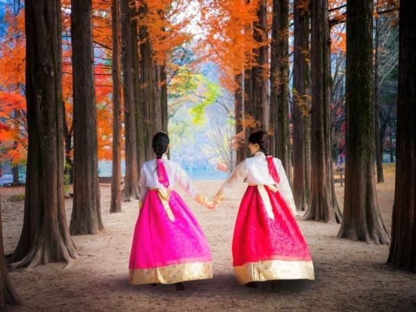 Seul Alışveriş Turu Asiana Hava Yolları 4 Gece 