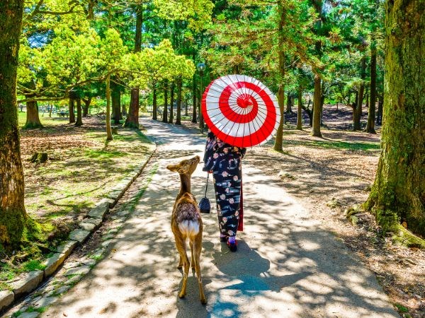 Uzak Doğu'nun Güneşi Japonya Türk Hava Yolları 6 Gece