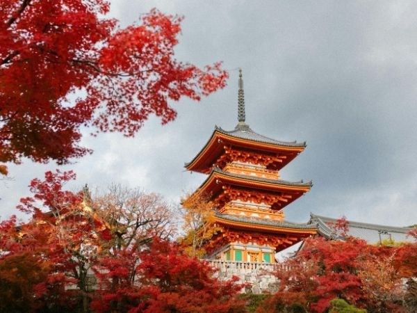 Uzak Doğu’nun Güneşi ve Kırmızı Ejderhası Japonya ve Çin Türk Hava Yolları 10 Gece