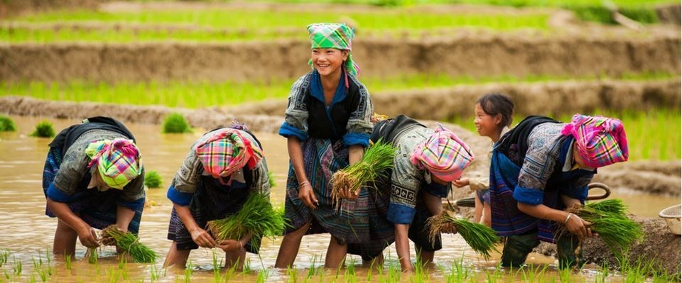 KURBAN BAYRAMI Mavi Ejderha Khmer ve Siam Vietnam Kamboçya Tayland Türk Hava Yolları 9 Gece 