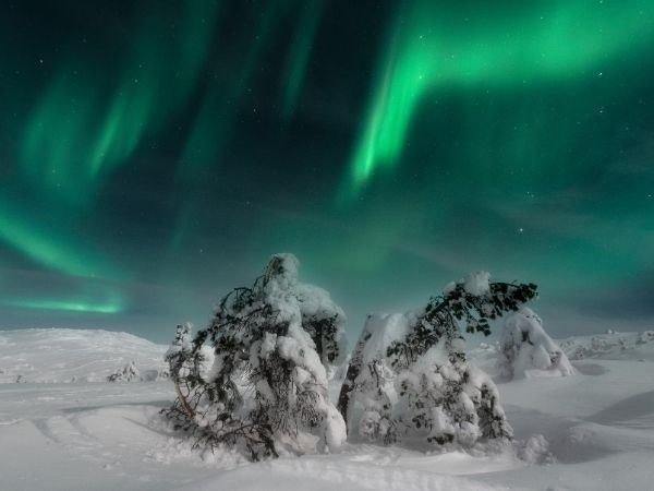 **YILBAŞI**Lapland Büyülü Kuzey Işıkları Masalı Türk Hava Yolları 4 Gece ( TÜM TURLAR DAHİL)