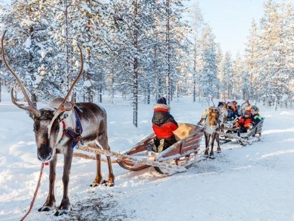 **YILBAŞI**Lapland Büyülü Kuzey Işıkları Masalı Türk Hava Yolları 4 Gece ( TÜM TURLAR DAHİL)