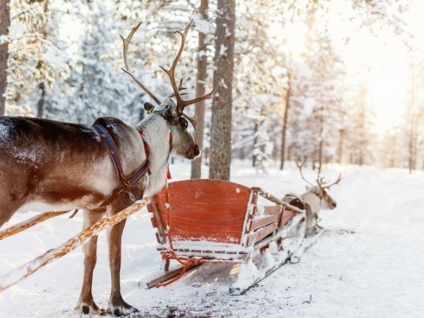 **YILBAŞI**Lapland Büyülü Kuzey Işıkları Masalı Türk Hava Yolları 4 Gece ( TÜM TURLAR DAHİL)