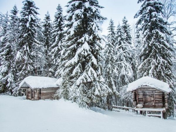 **YILBAŞI**Lapland Büyülü Kuzey Işıkları Masalı Türk Hava Yolları 4 Gece ( TÜM TURLAR DAHİL)