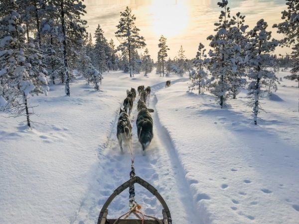 **YILBAŞI**Lapland Büyülü Kuzey Işıkları Masalı Türk Hava Yolları 4 Gece ( TÜM TURLAR DAHİL)