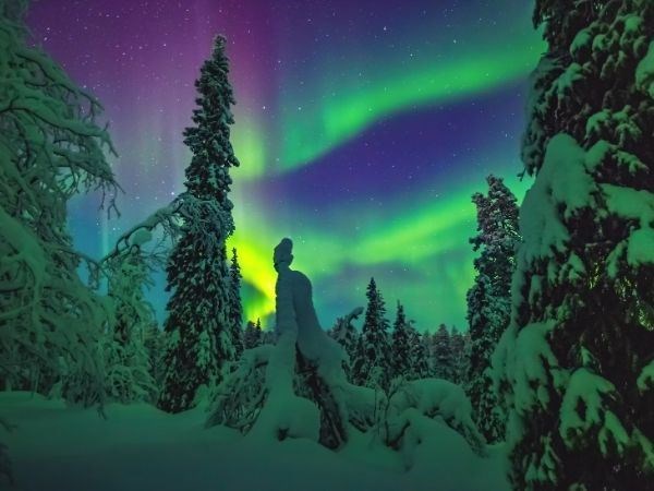 **YILBAŞI**Lapland Büyülü Kuzey Işıkları Masalı Türk Hava Yolları 4 Gece ( TÜM TURLAR DAHİL)