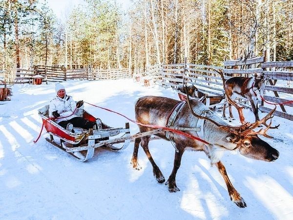 **YILBAŞI**Lapland Büyülü Kuzey Işıkları Masalı Türk Hava Yolları 4 Gece ( TÜM TURLAR DAHİL)