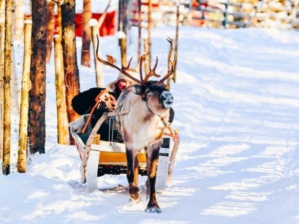 **YILBAŞI**Lapland Büyülü Kuzey Işıkları Masalı Türk Hava Yolları 4 Gece ( TÜM TURLAR DAHİL)