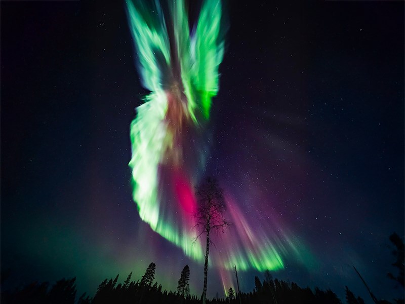 **YILBAŞI**Lapland Büyülü Kuzey Işıkları Masalı Türk Hava Yolları 4 Gece ( TÜM TURLAR DAHİL)