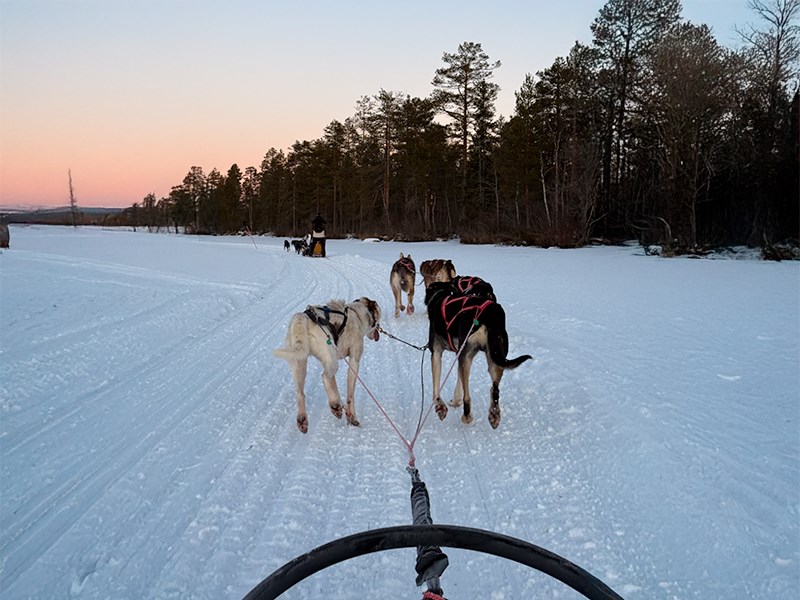 **YILBAŞI**Lapland Büyülü Kuzey Işıkları Masalı Türk Hava Yolları 4 Gece ( TÜM TURLAR DAHİL)