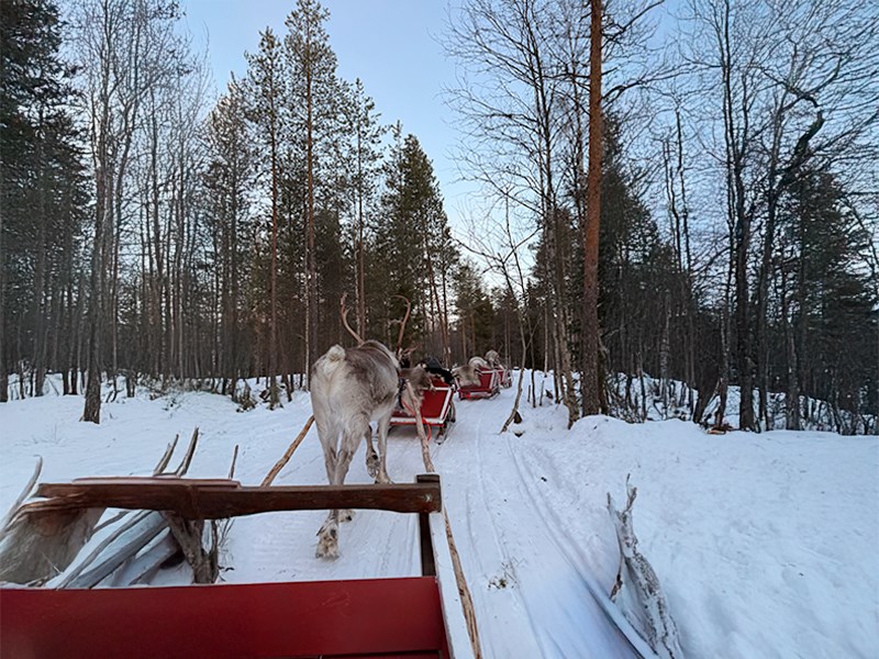**YILBAŞI**Lapland Büyülü Kuzey Işıkları Masalı Türk Hava Yolları 4 Gece ( TÜM TURLAR DAHİL)
