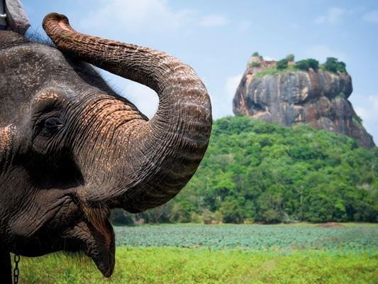 Elegant Sri Lanka Türk Hava Yolları 6 Gece