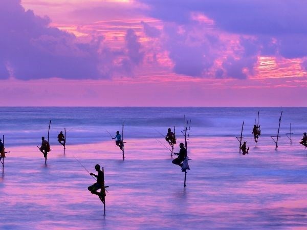 Elegant Sri Lanka Türk Hava Yolları 6 Gece