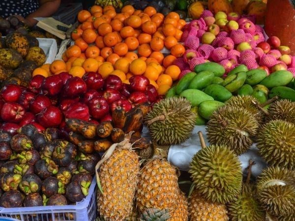 Elegant Sri Lanka Türk Hava Yolları 6 Gece