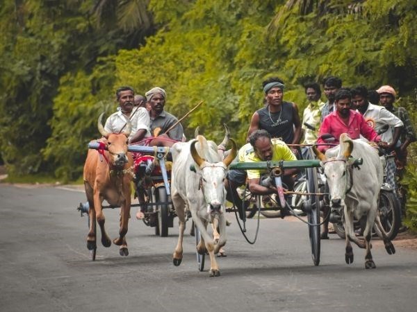 Elegant Sri Lanka Türk Hava Yolları 6 Gece