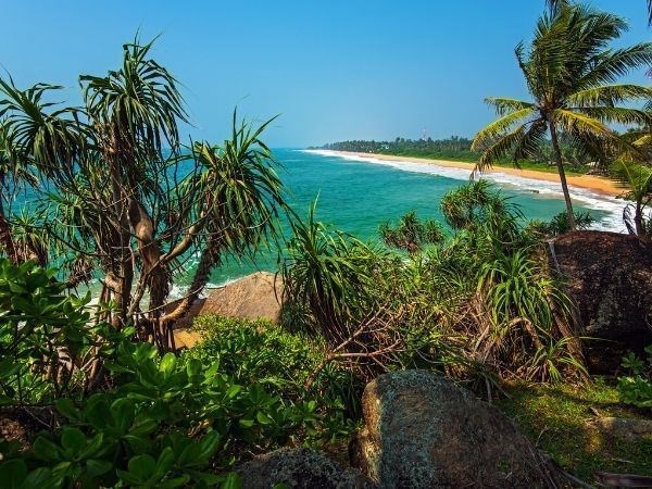 Elegant Sri Lanka Türk Hava Yolları 6 Gece