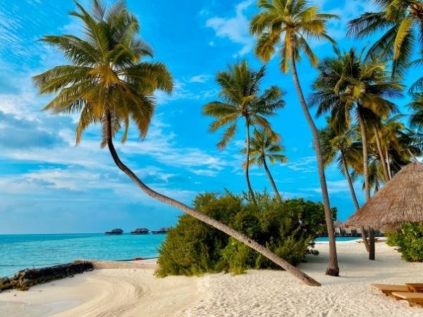 Dolu Dolu Sri Lanka ve Maldivler Rotası Türk Hava Yolları 7 Gece