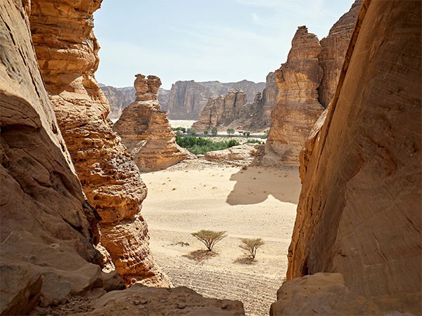 Suudi Arabistan Kültür Turu (Umre Dahil Tur) Flynas Hava Yolları 4 Gece