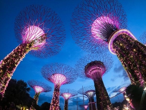 Elegant Bali Kuala Lumpur Singapur Türk Hava Yolları 6 Gece