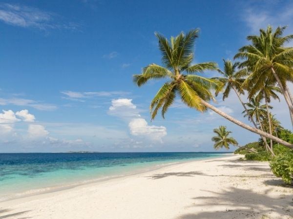 Maldivler Singapur Bali Turu Qatar Hava Yolları 8 Gece