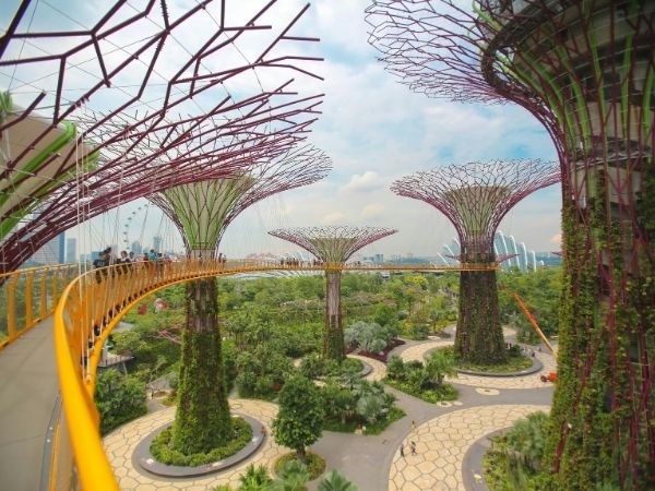 Malezya Tayland Singapur Endonezya Bali Turu