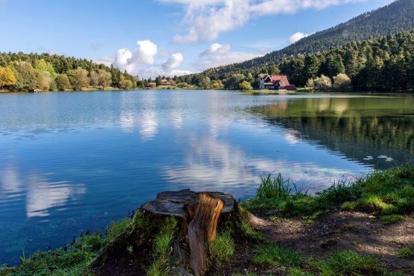 24 - 25 Mayıs Yedigöller ve Düzce Şelaleler Turu 1 Gece