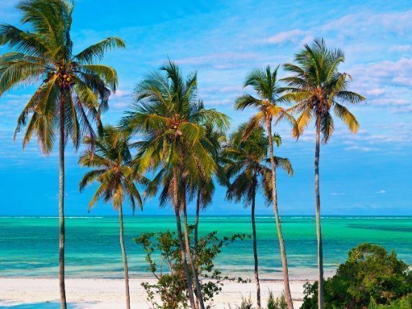 Zanzibar Turu Türk Hava Yolları İle 5 Gece