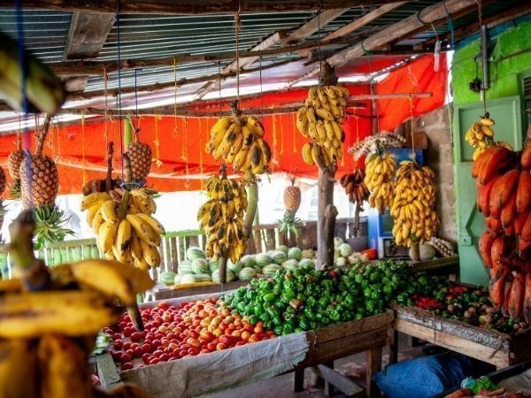 Zanzibar Turu Türk Hava Yolları İle 5 Gece